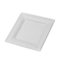 10 Inch Square Heavy Paper Plates, 125 Each